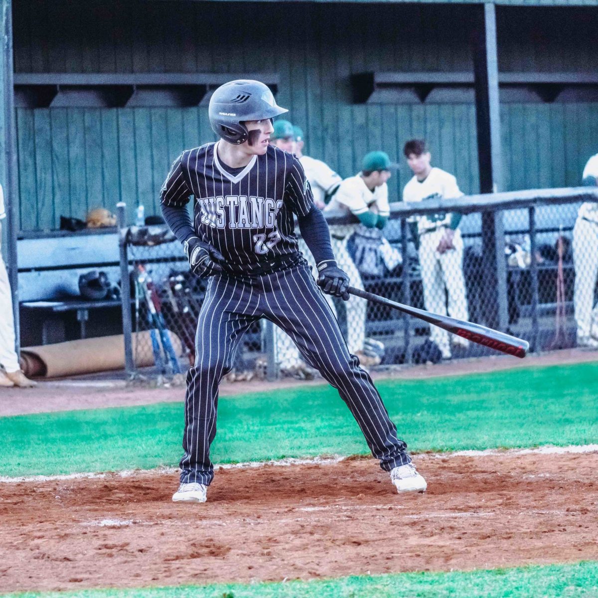 Willie_Prince_Kennesaw_Mountain_baseball.105